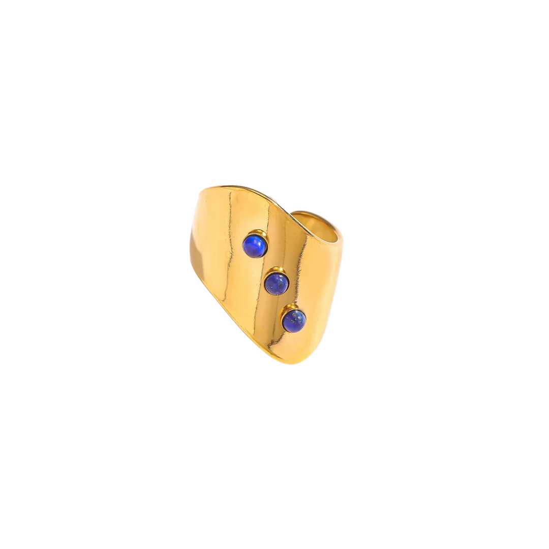 Anillo Vega