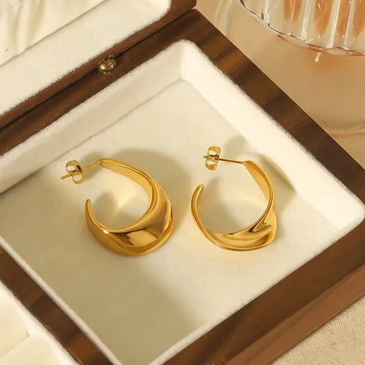 Pendientes Noa