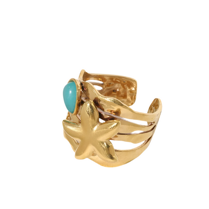 Anillo Ariel