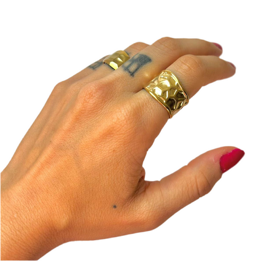 Anillo Gaia